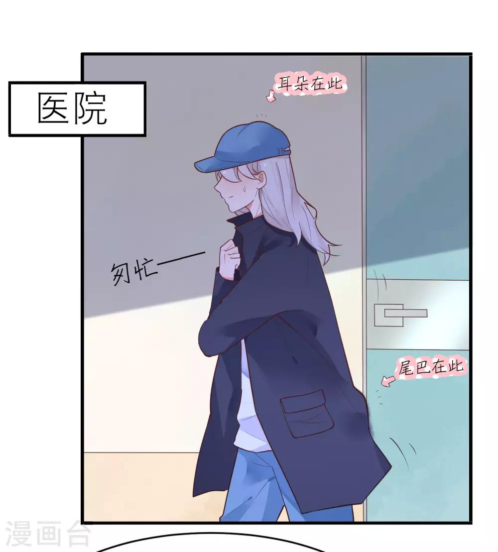 第29话 不是壁咚只是没站稳-第32话