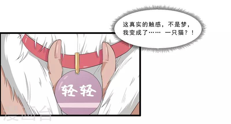 第1话 阿拉丁之猫的报恩-第2话