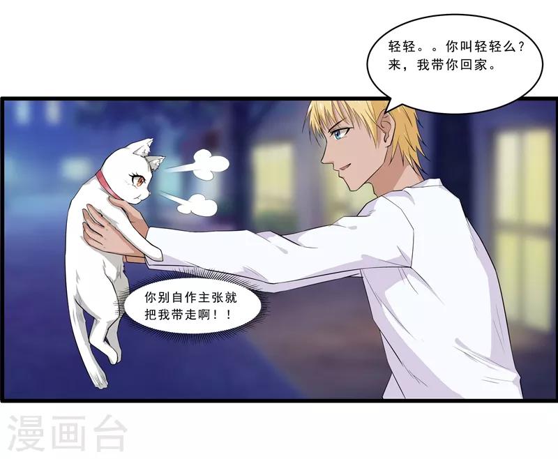 第1话 阿拉丁之猫的报恩-第2话