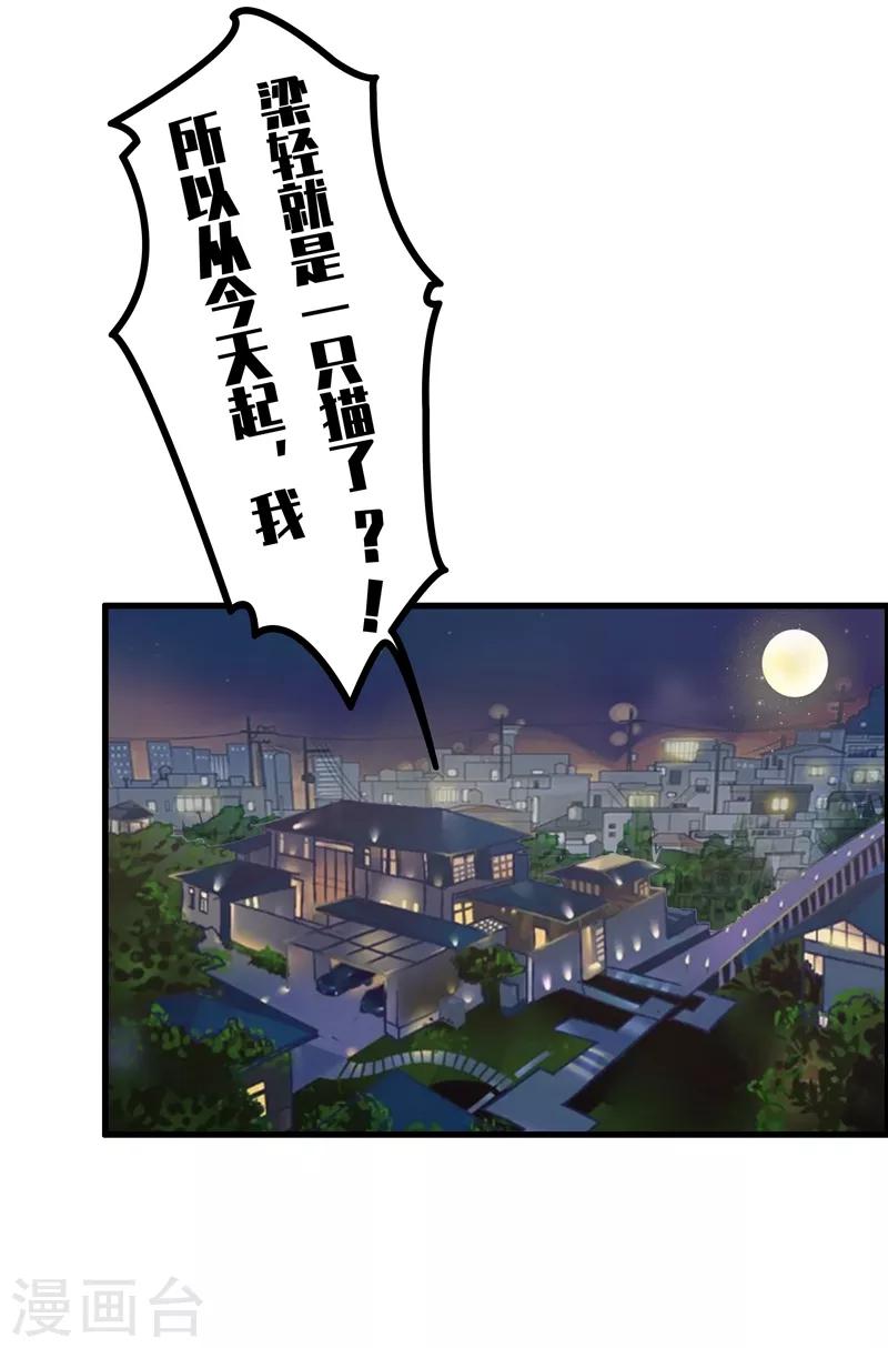 第1话 阿拉丁之猫的报恩-第2话