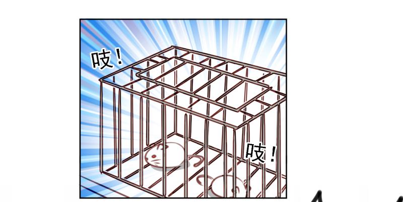 第六话 我们的秘密 上(1/2)-第12话