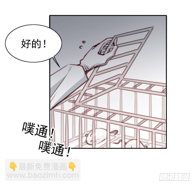 第六话 我们的秘密 上(1/2)-第12话