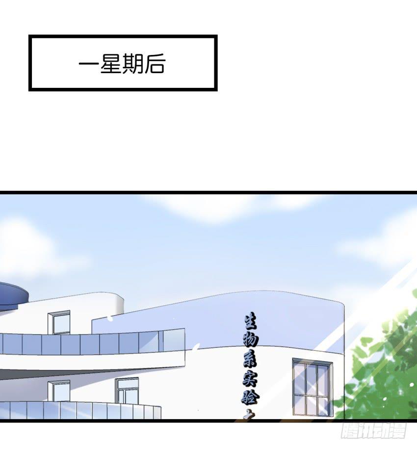 28 他与她的秘密 下-第68话