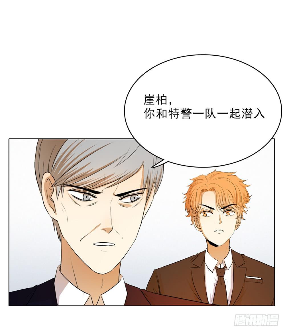 崖柏突入️-第52话
