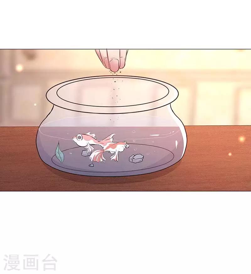 第13话 定婚约-第14话