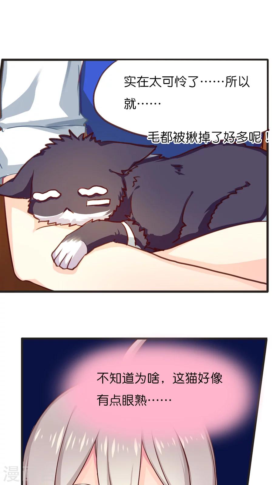 第42话 猫与狗与守护权之争-第42话