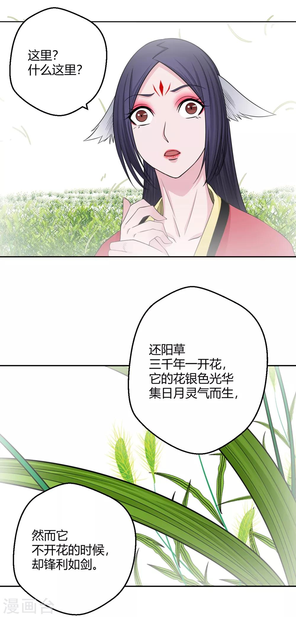 第115话 救他我心甘情愿-第116话