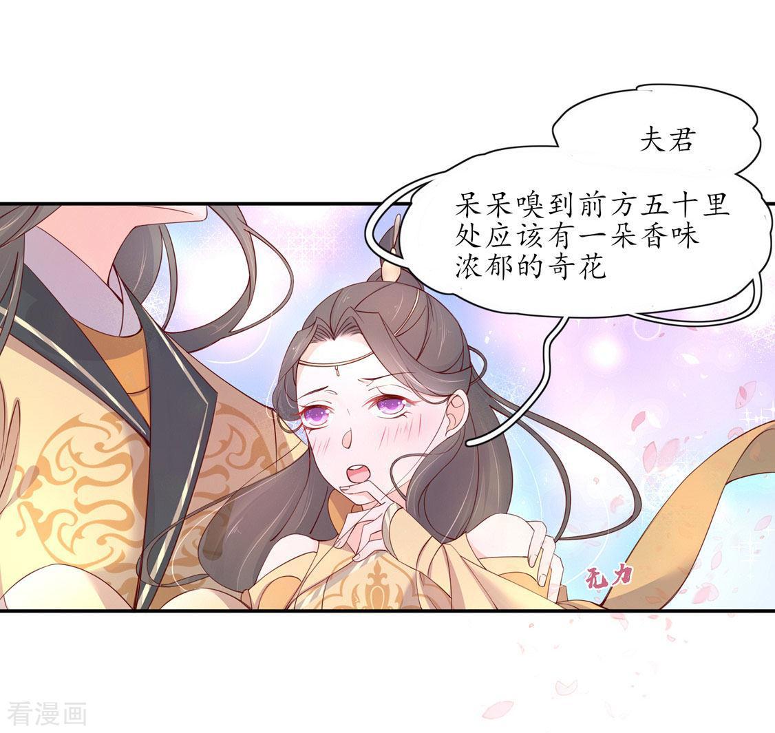 第206话 灵魂交融-第208话
