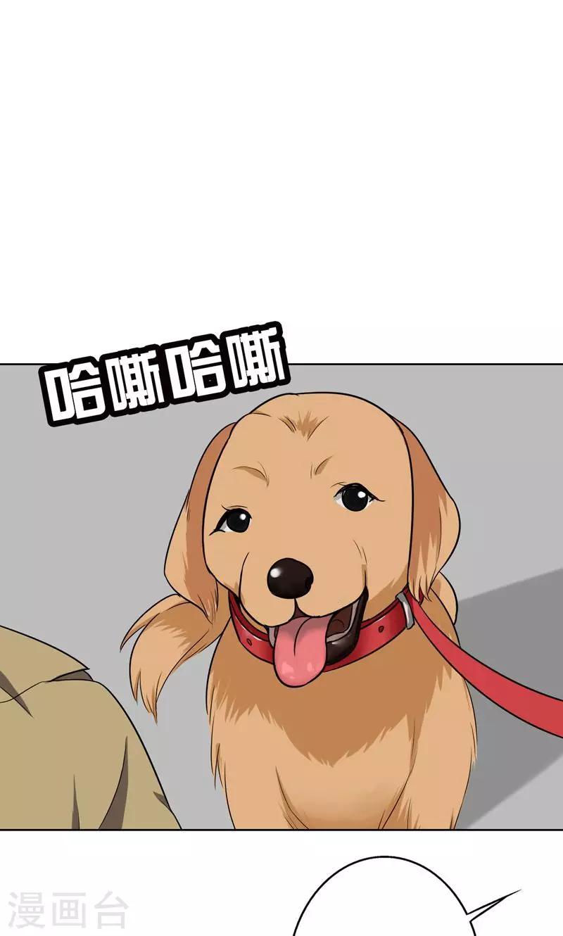 第42话 对不起，我说谎了-第44话