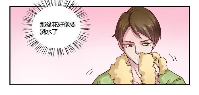 风信子-第4话