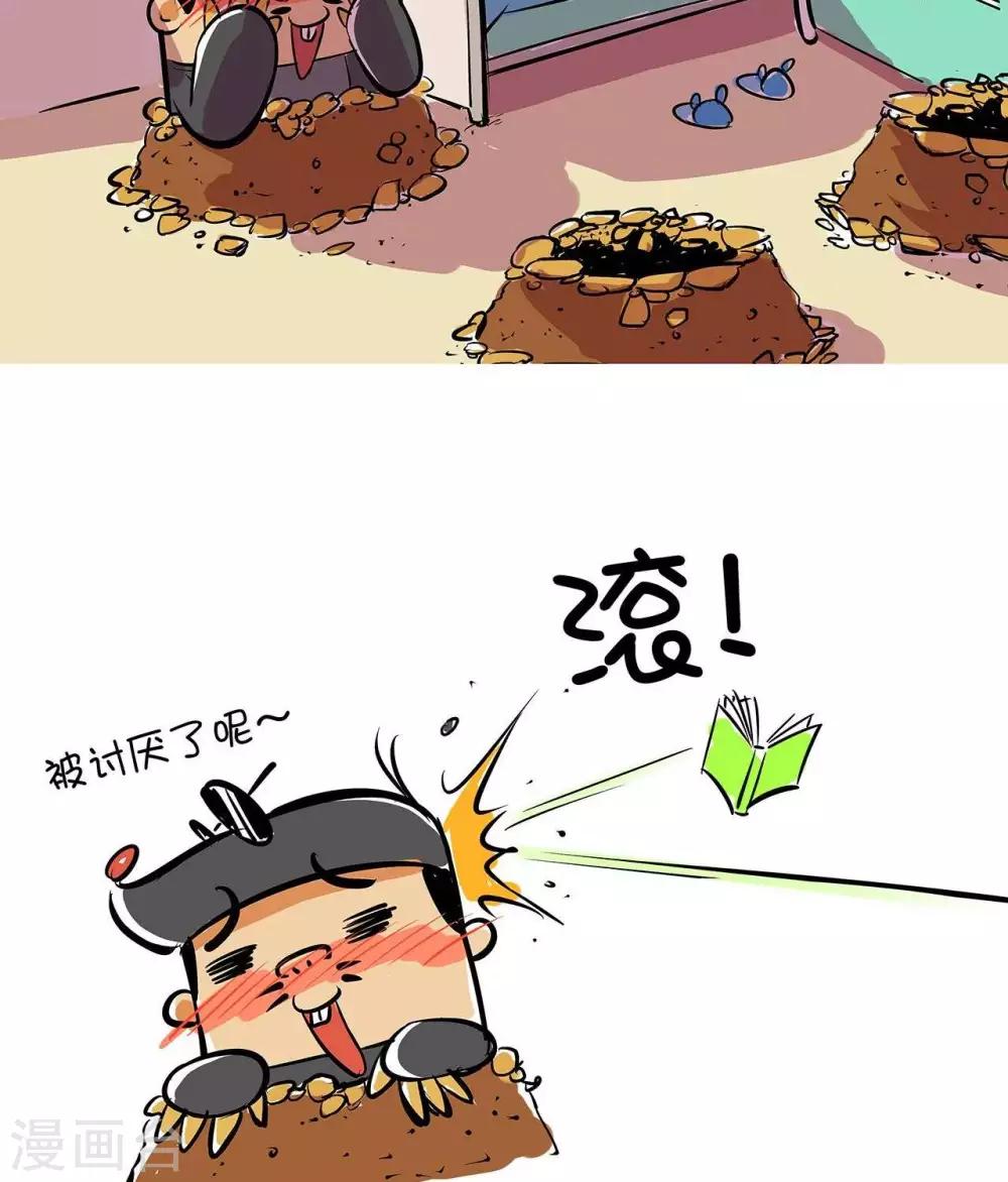 第40话  锦毛鼠同好会-第40话