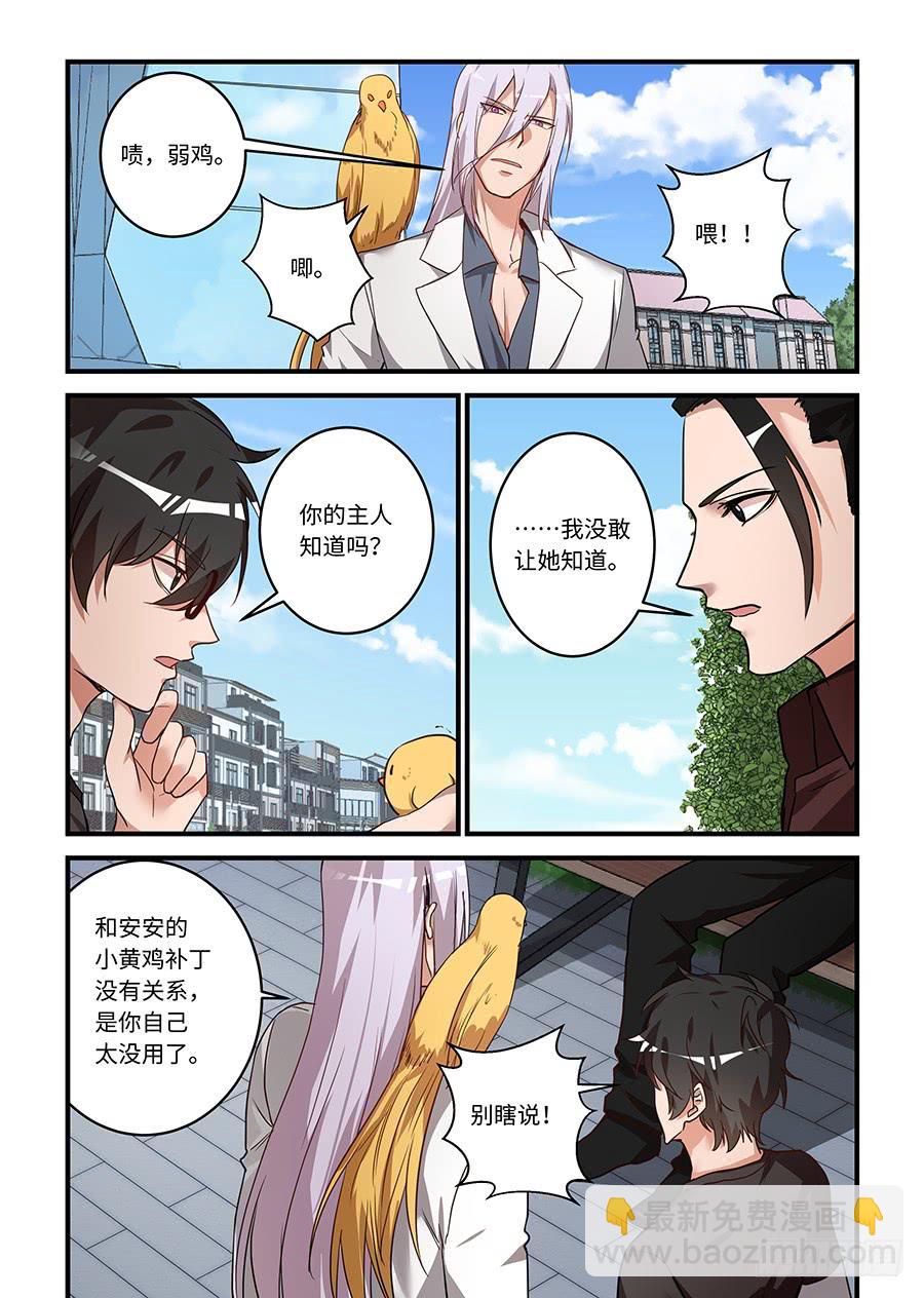 第二百零七话：长不大的小黄鸡-第236话