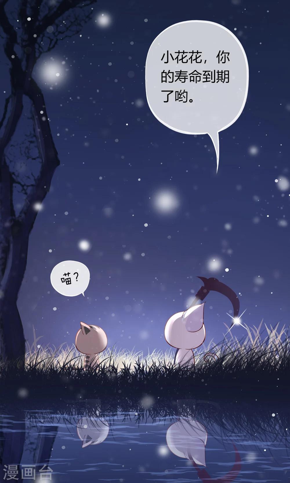 序章 与白色精灵的相遇-第2话