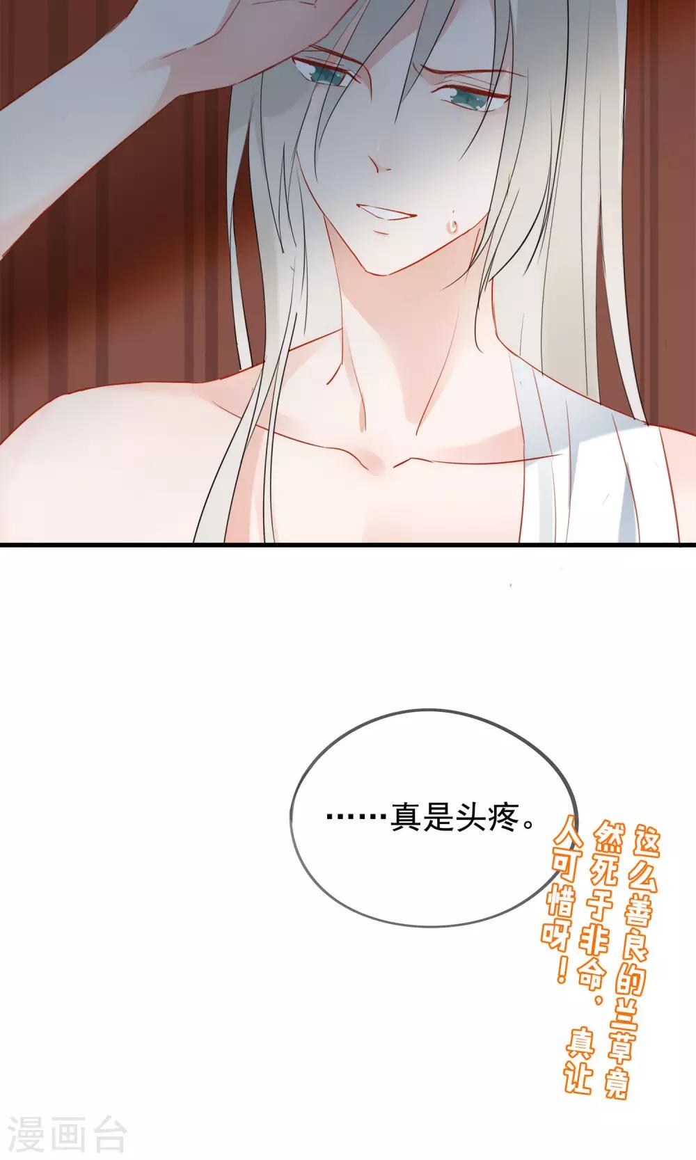 第33话 小狼妖的往事-第36话