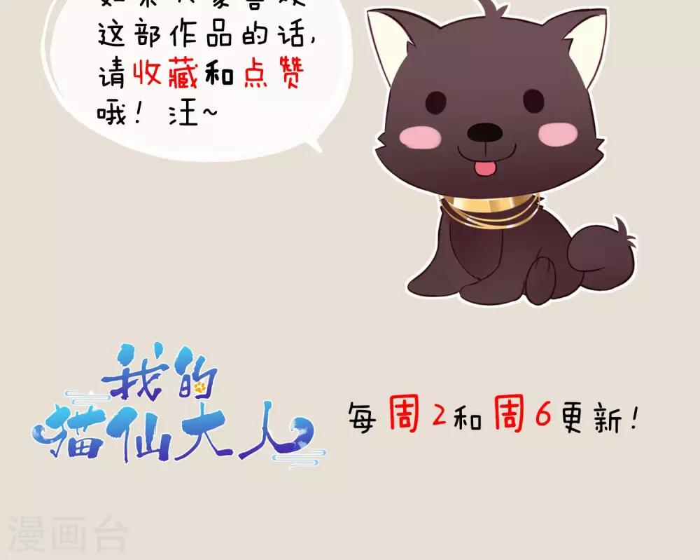 第6话 无情的猫大人-第8话