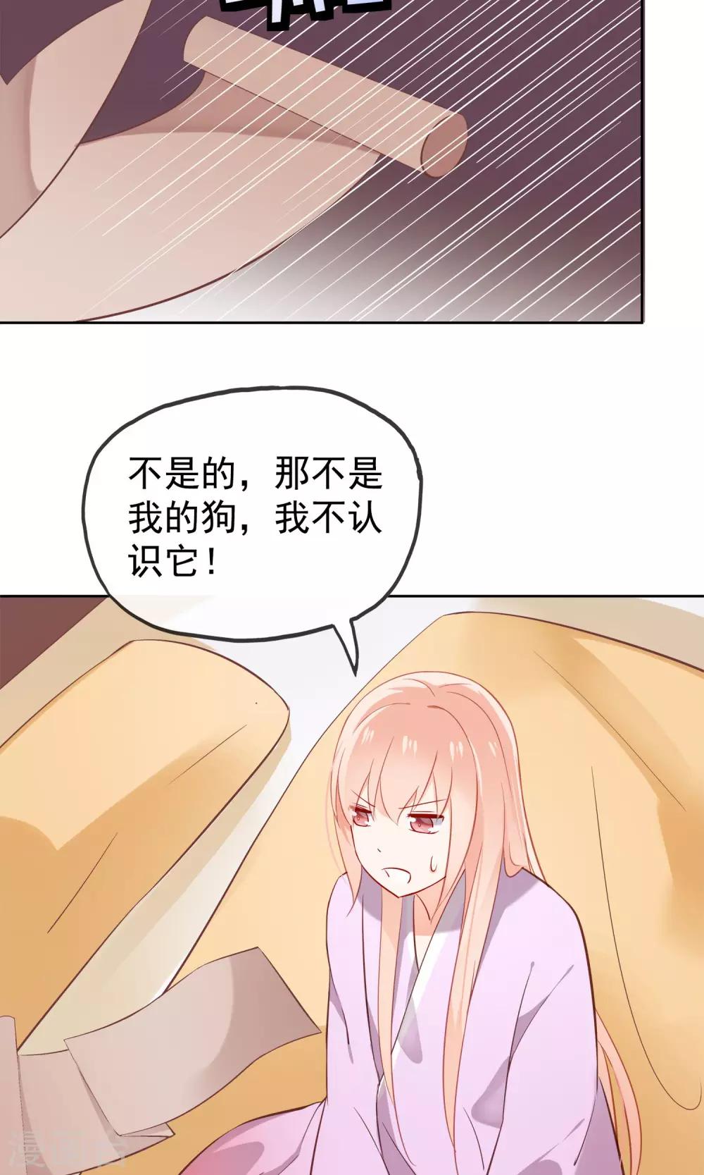 第6话 无情的猫大人-第8话