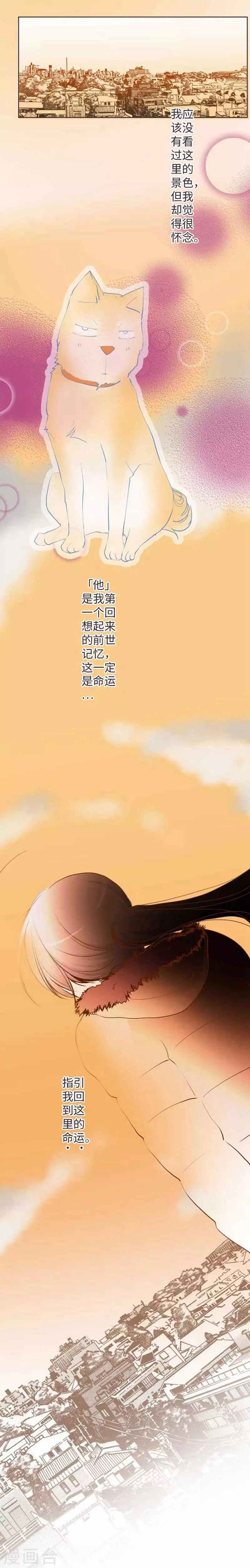 第70话 夕阳和前世-第70话