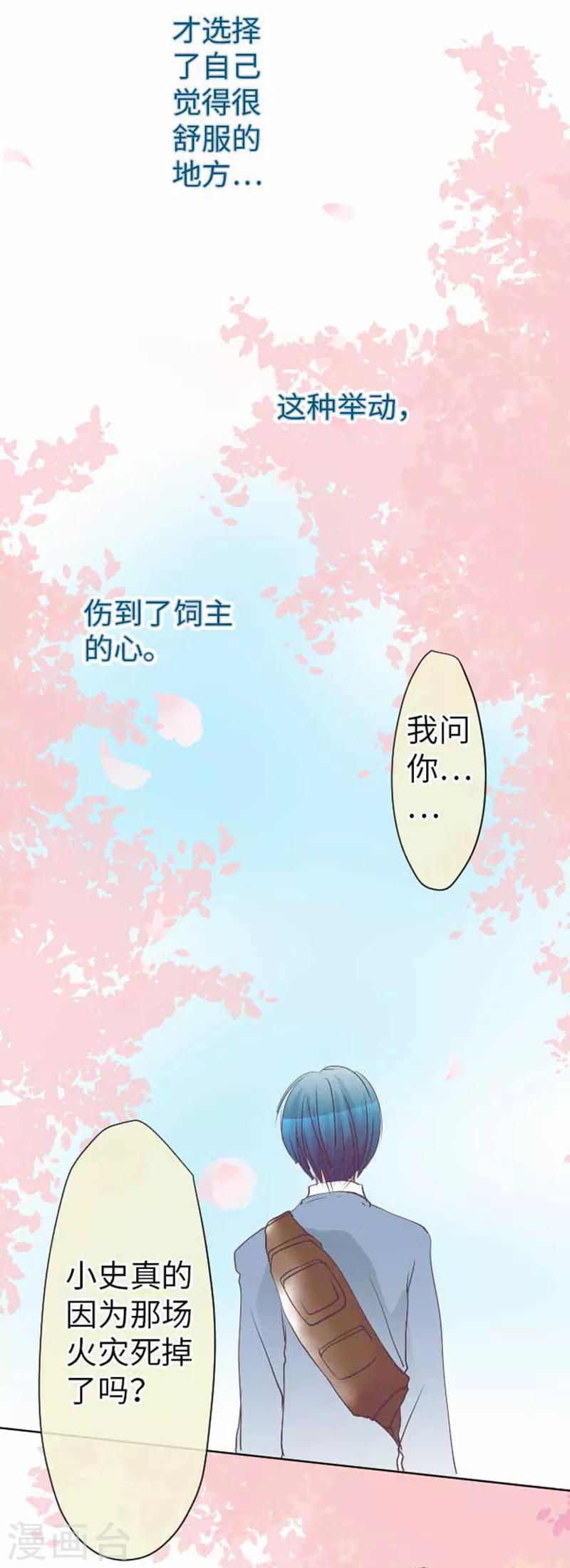 第82话 猫和饲主-第82话