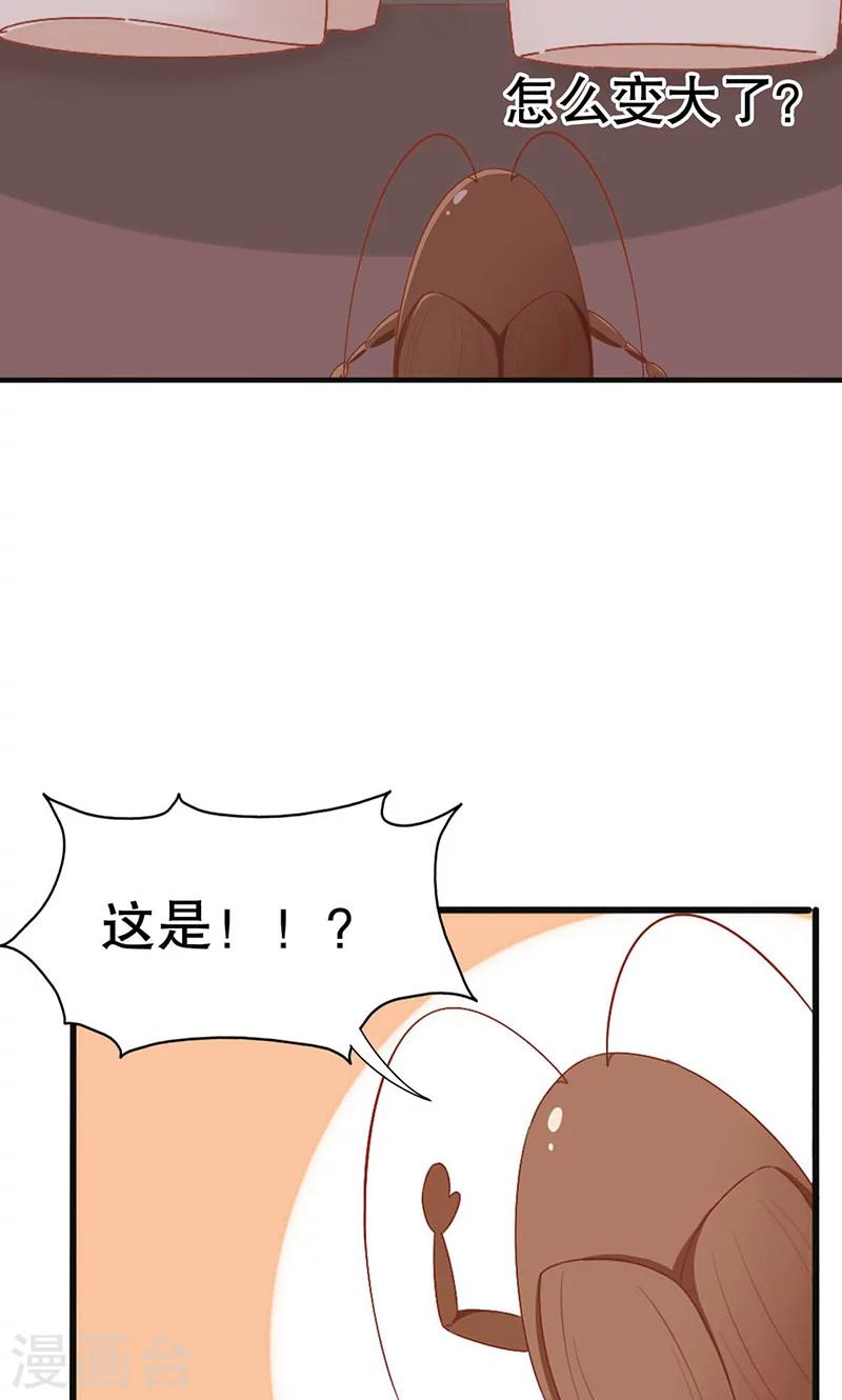 第1话 骄傲的王子-第2话