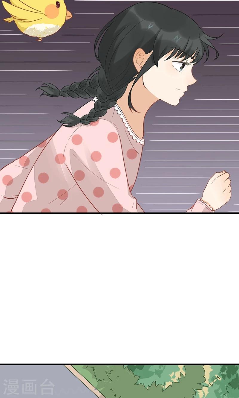 第15话 猫-第16话