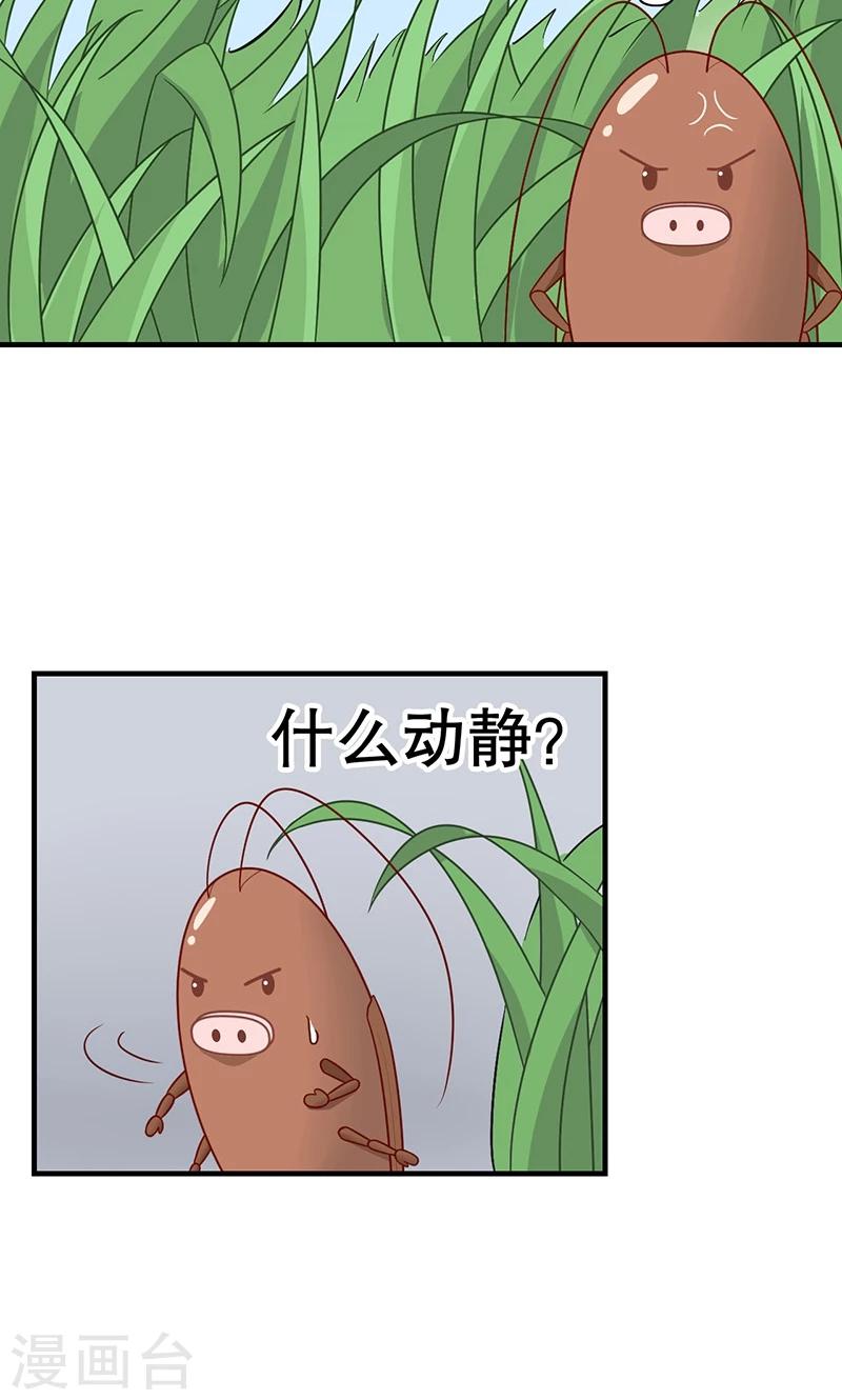 第15话 猫-第16话