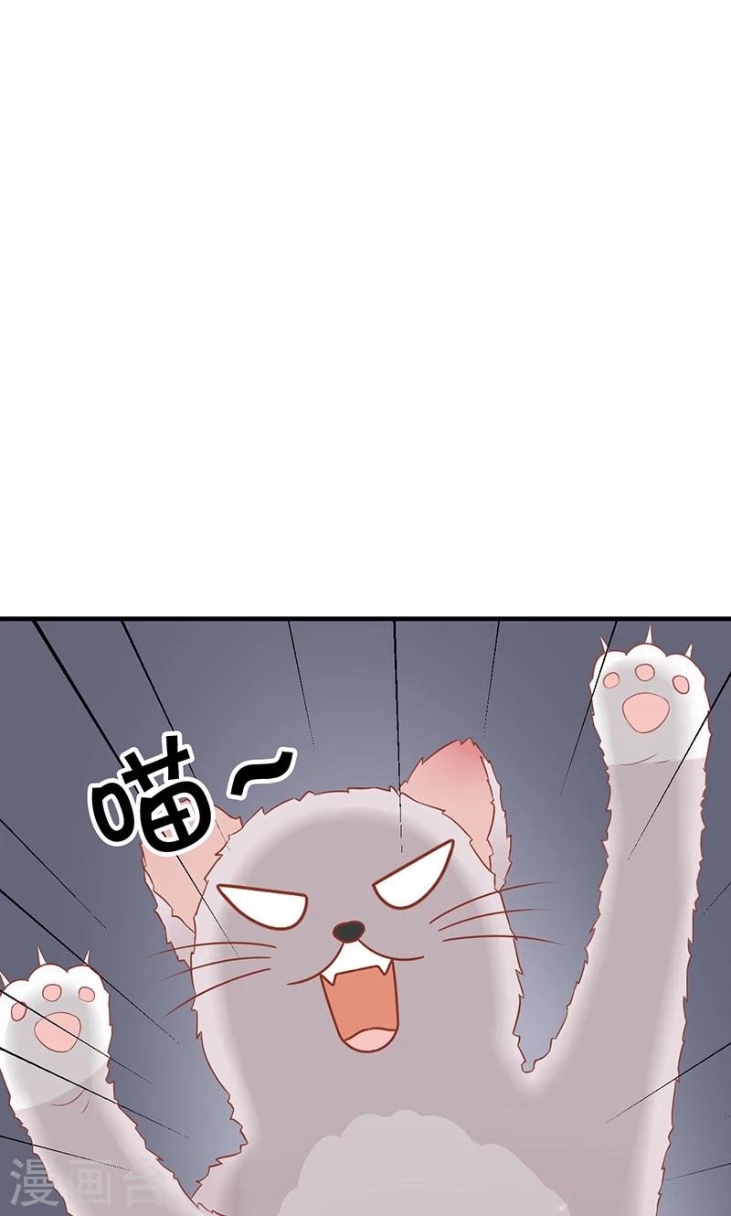 第15话 猫-第16话