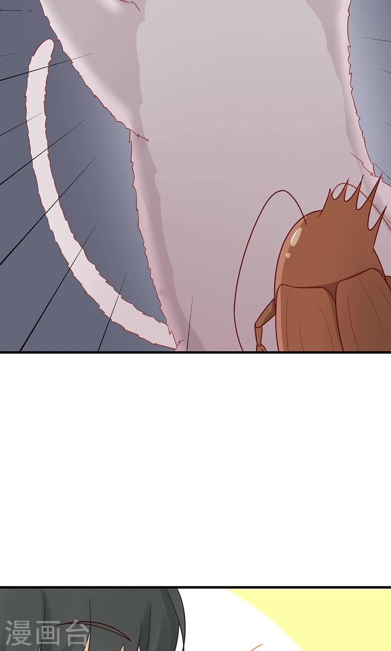 第15话 猫-第16话