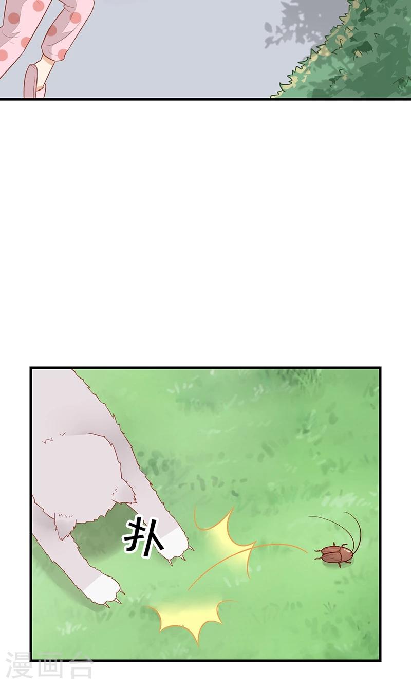 第15话 猫-第16话