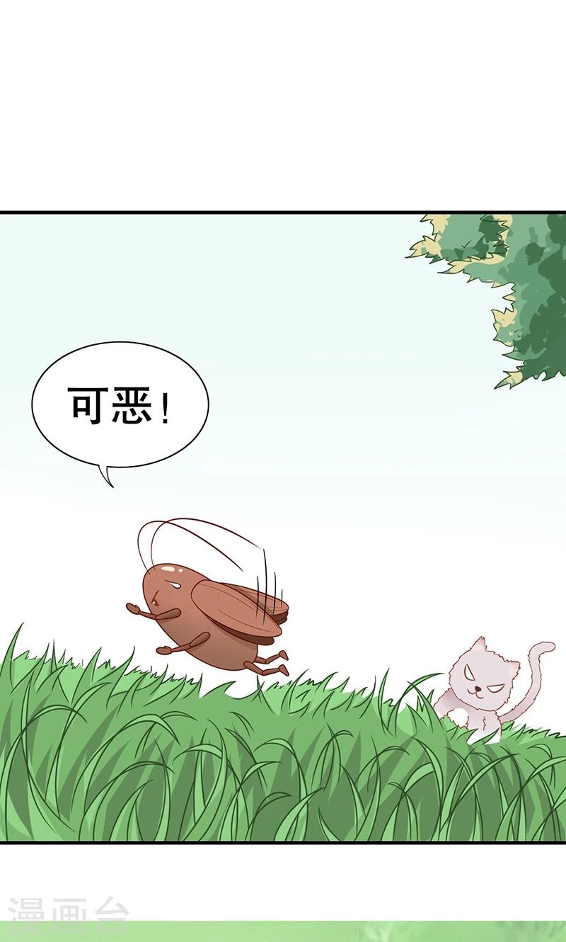 第15话 猫-第16话
