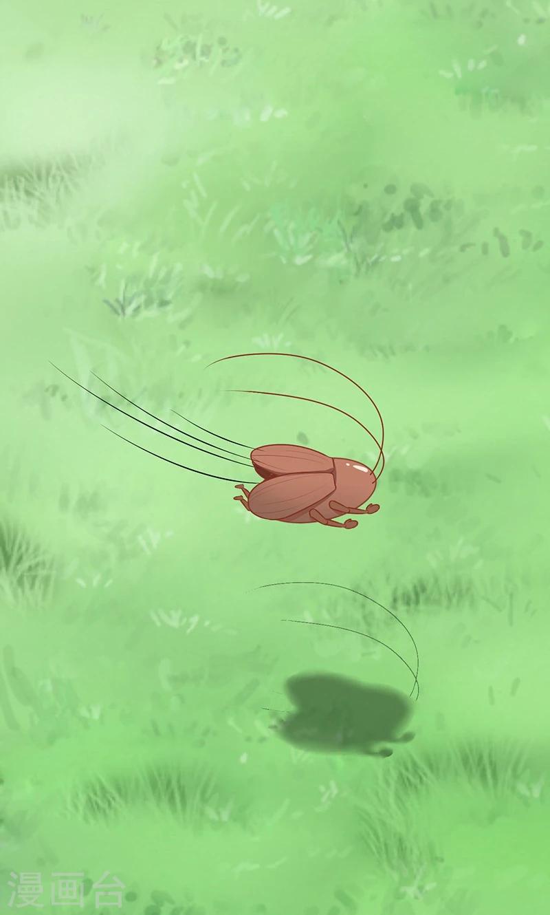 第15话 猫-第16话