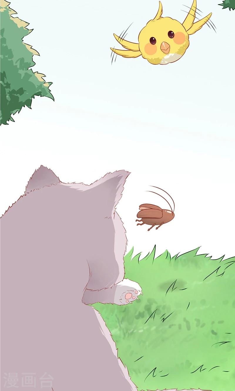 第15话 猫-第16话