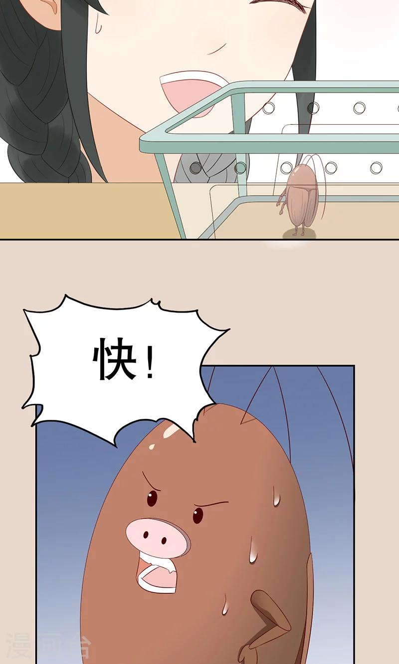 第7话 旺财-第8话