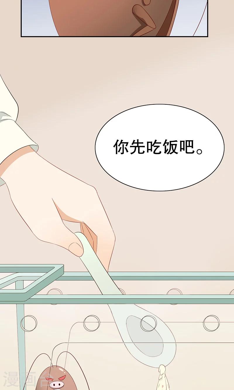 第7话 旺财-第8话