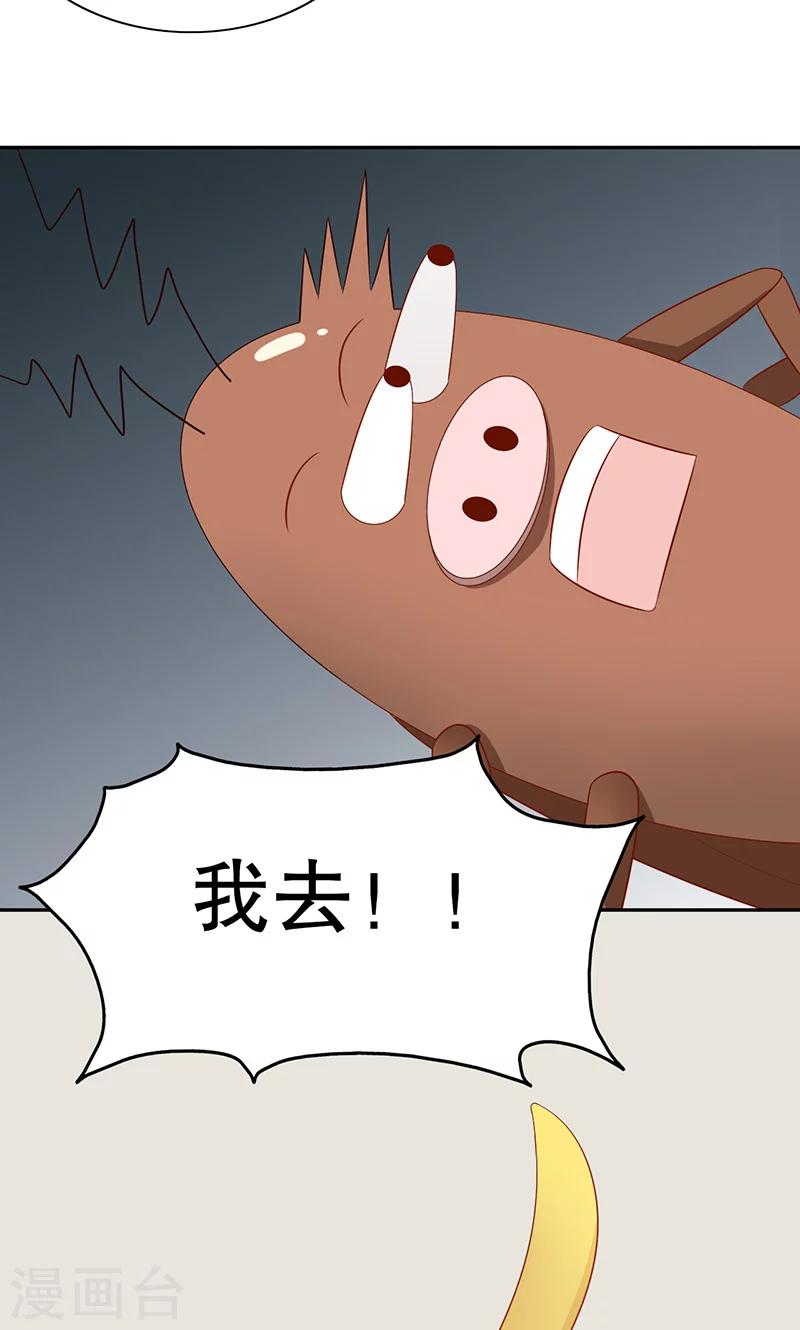 第7话 旺财-第8话