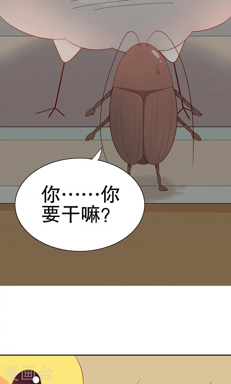 第7话 旺财-第8话