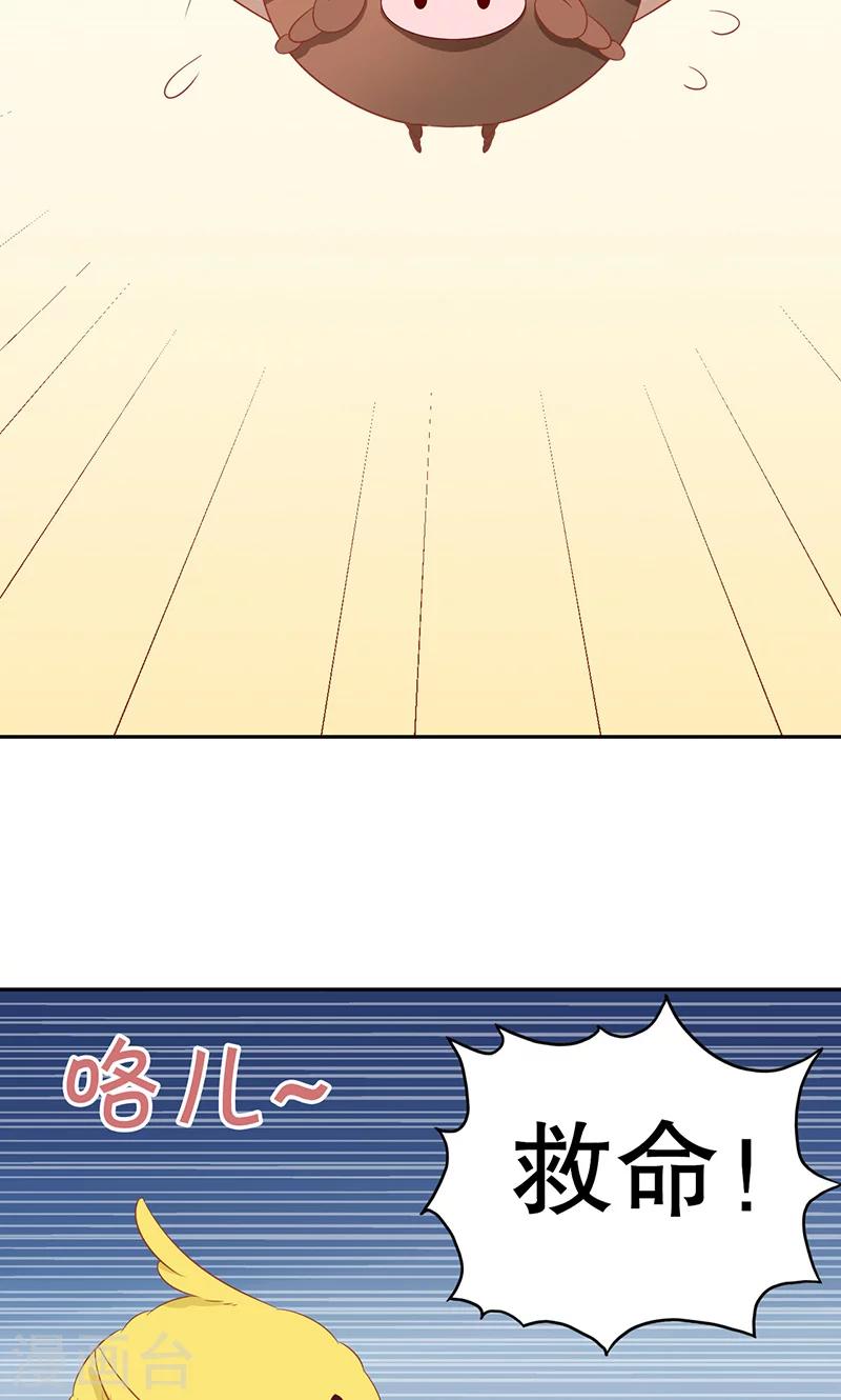 第7话 旺财-第8话