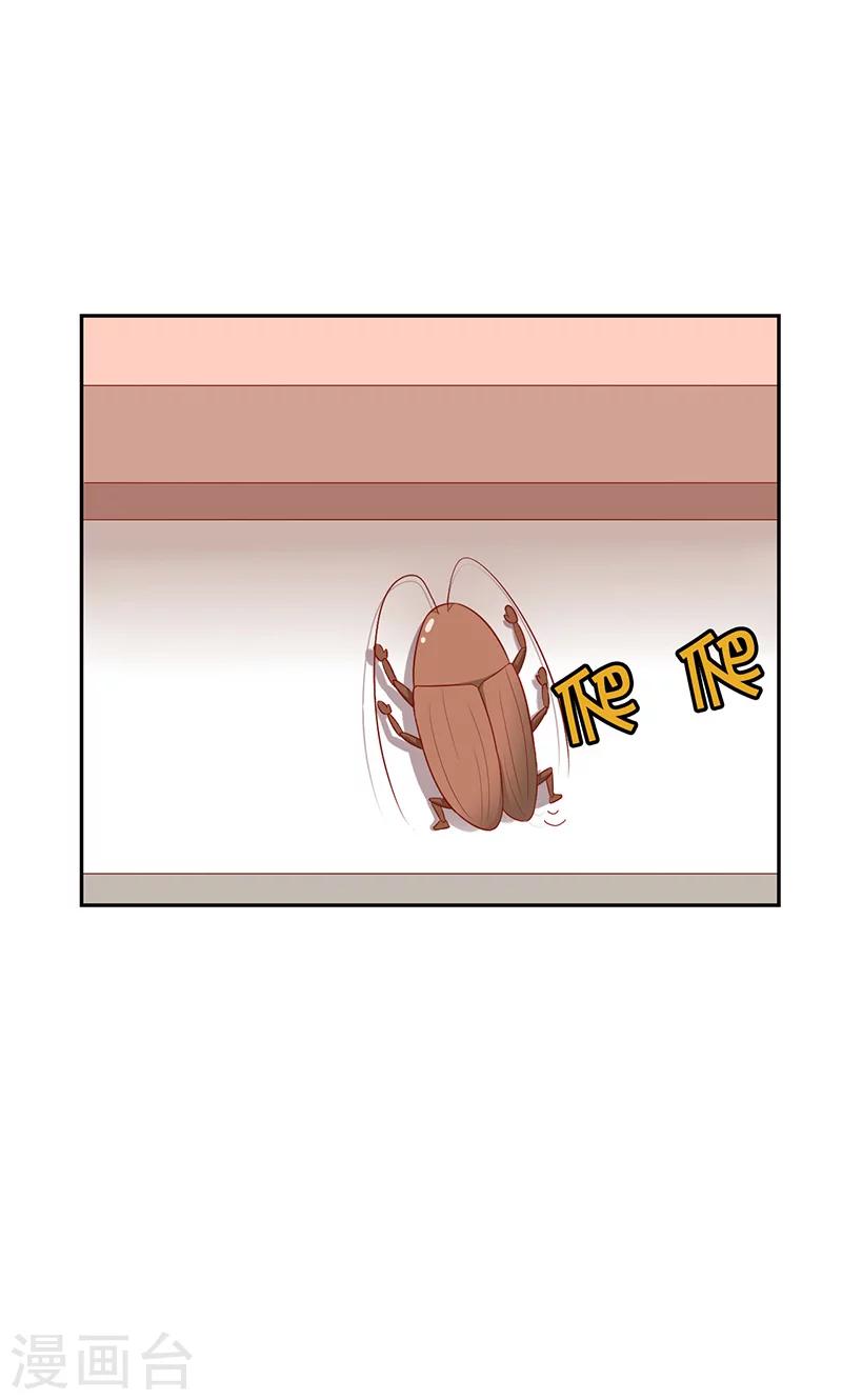 第7话 旺财-第8话