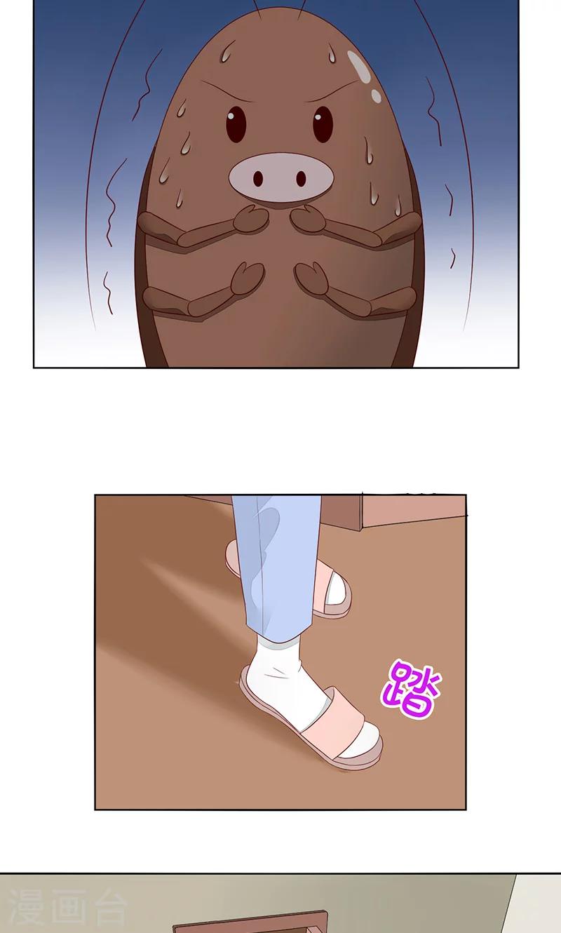 第7话 旺财-第8话