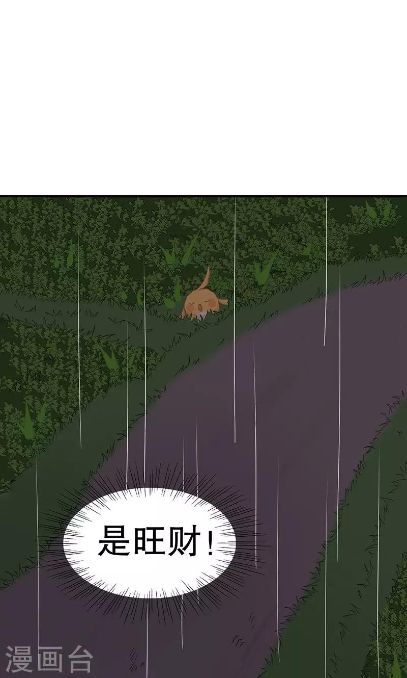 第9话 旺财不见了(1/2)-第10话
