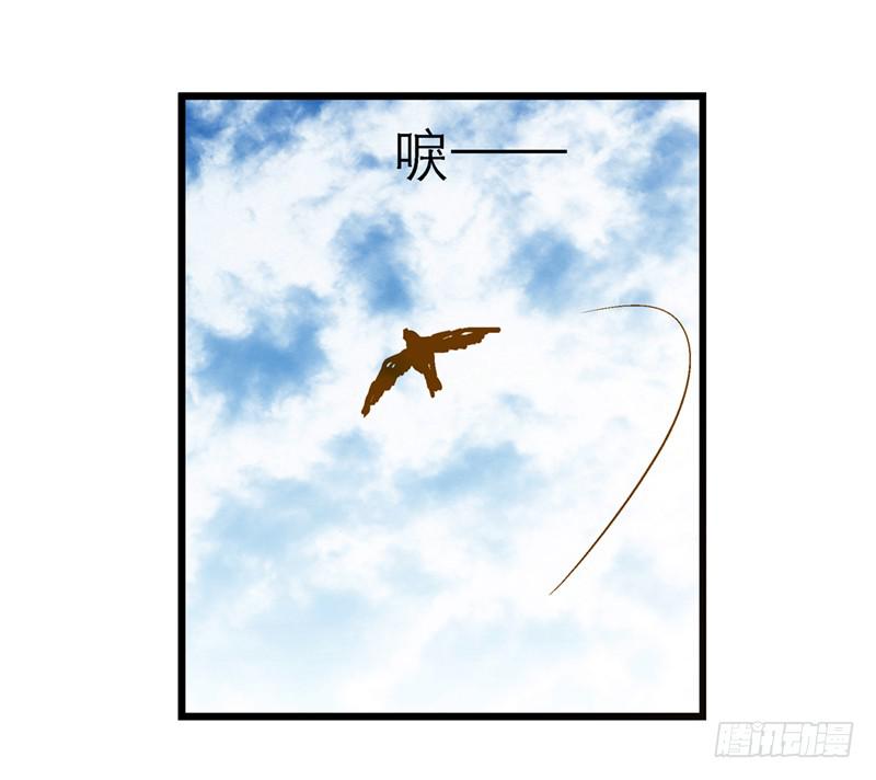 第六十二话 野生动物园-第62话