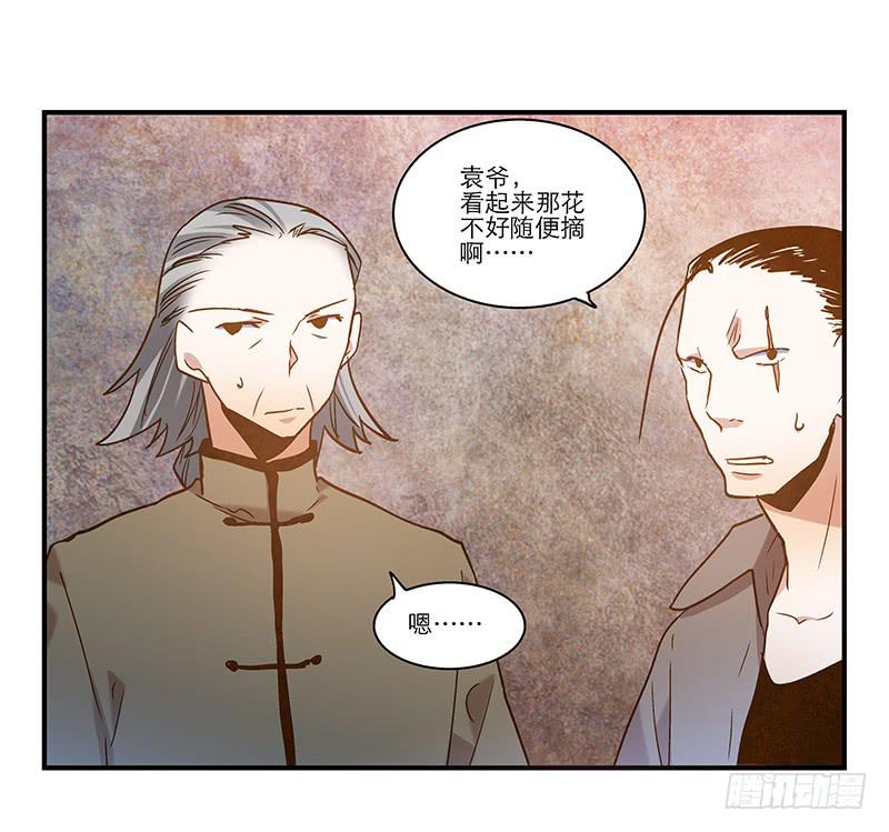 第九十话  幻境(1/2)-第90话