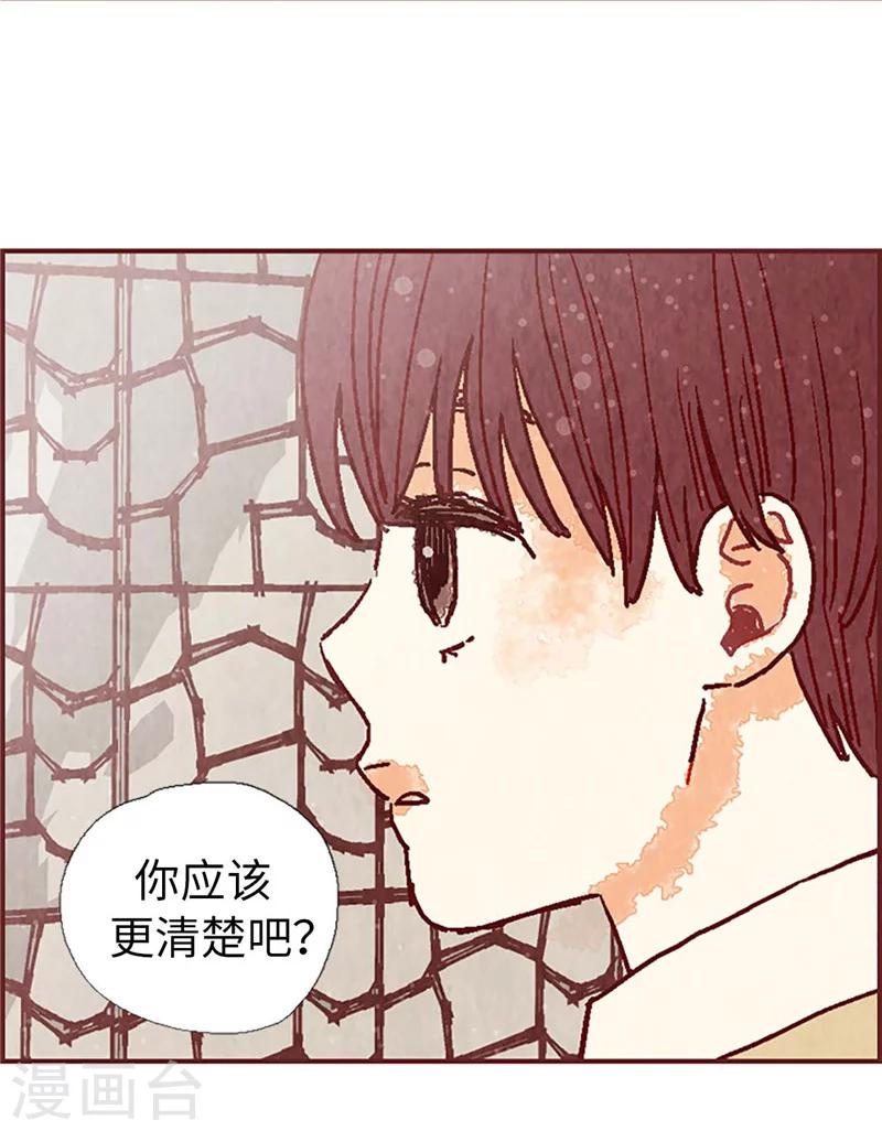 第42话 准备生日派对-第42话