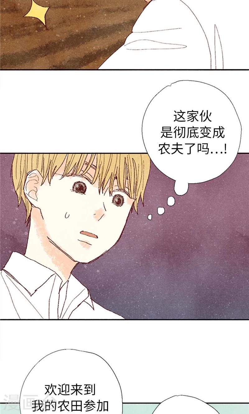 最终话 华丽的绽放-第70话