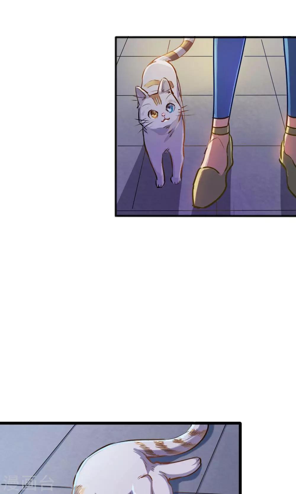 第14话 有猫了1-第14话
