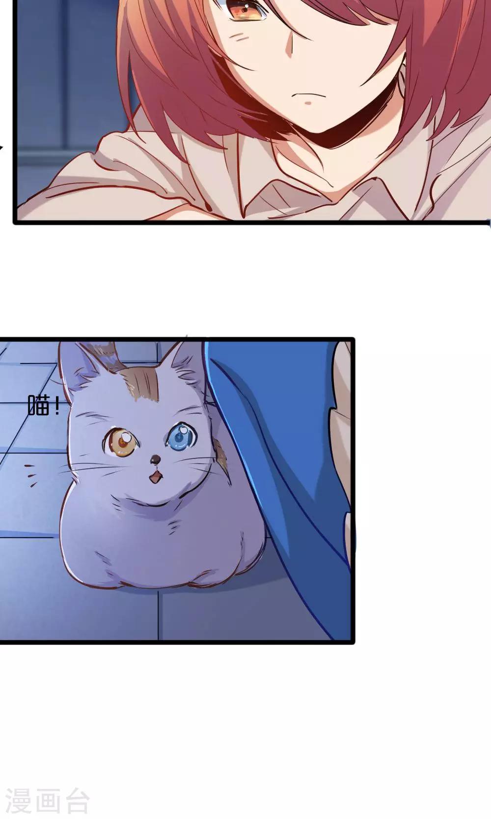 第14话 有猫了1-第14话