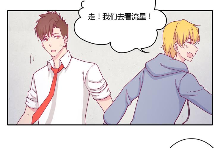 向流星许愿(1/2)-第108话