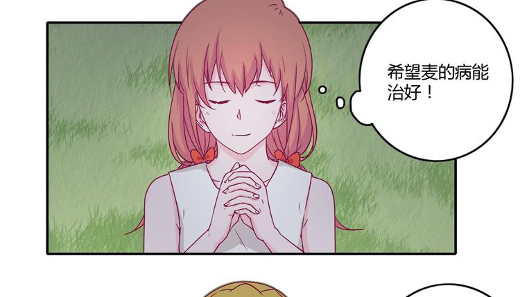 向流星许愿(1/2)-第108话
