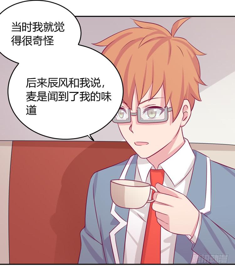 就这么甘心认输吗？(1/3)-第154话