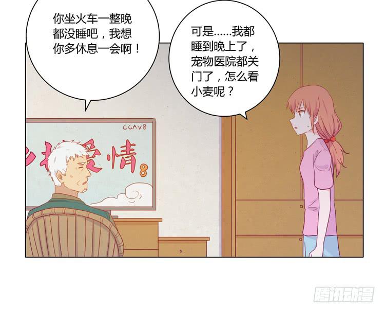 爷爷，我要见小麦！(1/2)-第50话