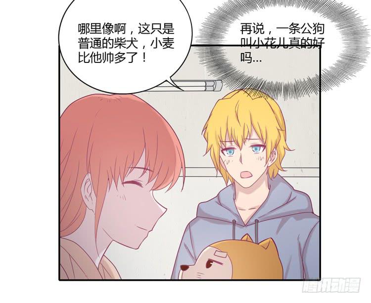 风雨无阻的恋爱(1/2)-第100话